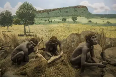 인류의 기원 ‘유라시아 아닌 아프리카’ 근거 찾았다