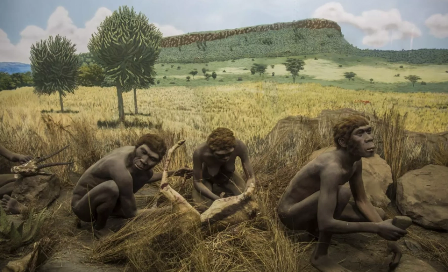 인류의 기원은 아프리카로 알려졌지만, 초기 인류 이외의 화석이 발굴되지 않아 ‘인류 유라시아 기원설’이 등장하기도 했다.  위키피디아  제공