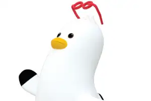 광안대교 위를 달려 보세요… 부산 ‘브릿지 마라톤’ 연말 개최