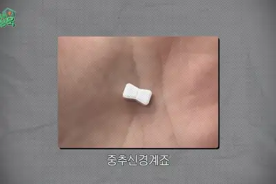 “다이어트 나비약, 먹어봤는데 마약이랑 똑같아” 현직 의사 경고