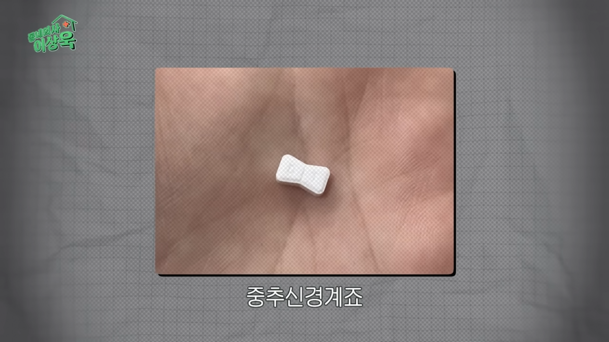 일명 ‘나비약’으로 불리는 향정신성의약품 펜터민. 유튜브 ‘동네의사 이상욱’ 캡처