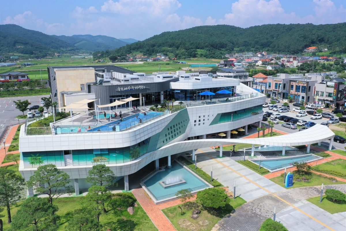 율포해수녹차센터 전경