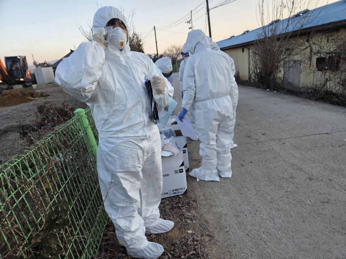 지난 4일 충주에서 조류 인플루엔자가 발생해 방역당국 관계자들이 방역활동을 벌이고 있다. 충주시 제공.