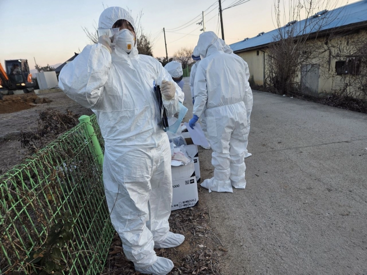 지난 4일 충주에서 조류 인플루엔자가 발생해 방역당국 관계자들이 방역활동을 벌이고 있다. 충주시 제공.