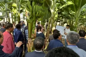 경북 포항시, 농업 경쟁력 강화한다…“61억원 투입”