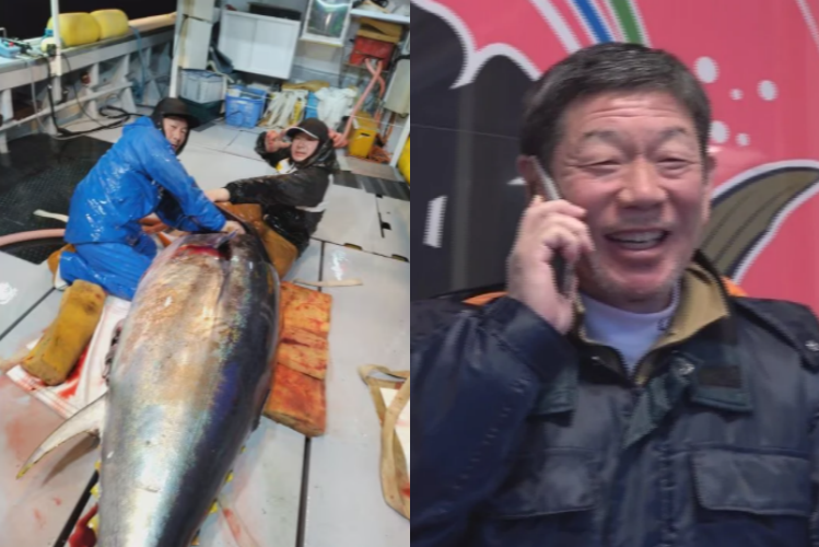 지난 5일 일본 최대 수산시장인 도요스 시장에서 열린 올해 첫 경매에서 243㎏짜리 대형 참다랑어가 5억 1030만엔(47억원)에 최고가로 낙찰됐다. 사진은 아오모리현 오마항 제11 조호마루의 선장 이토 도요카즈(60)가 해당 참치를 잡았을 당시 모습(왼쪽)과 지인들에게 연락을 받고 기뻐하는 이토의 모습. 아오모리TV 캡처