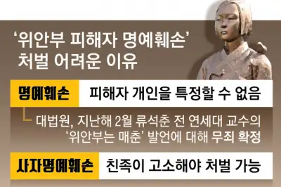 李 “얼빠진 모욕” 분노에도… 법 없어 처벌 못 하는 위안부 혐오