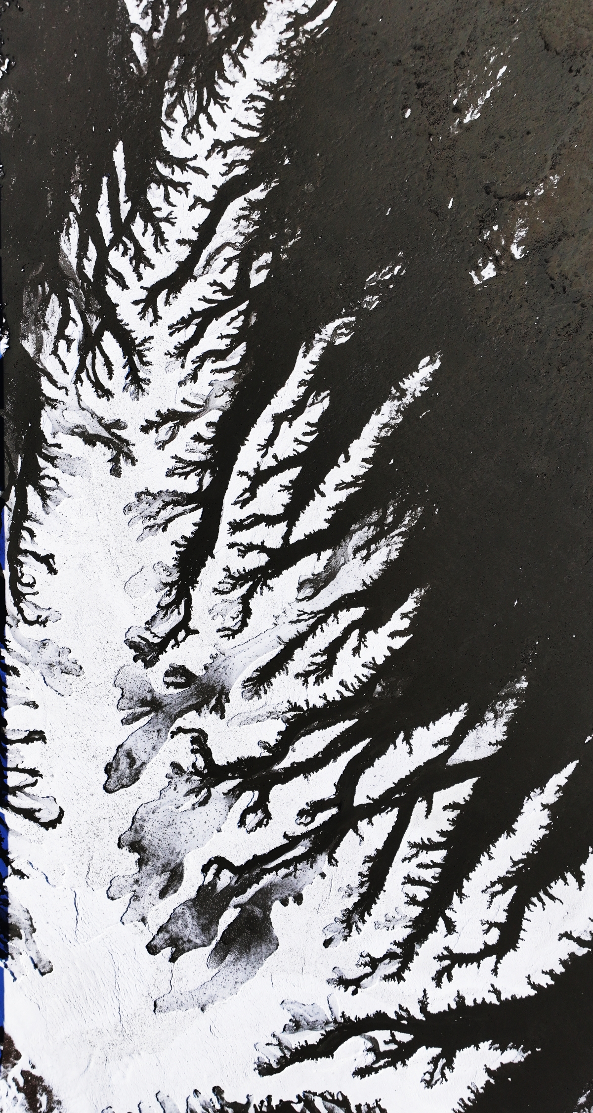 갯벌까지 얼린 한파