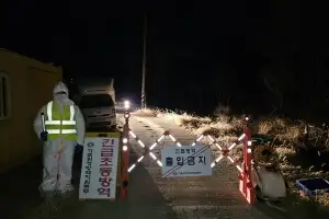 나주 오리농장서 조류인플루엔자 항원 검출