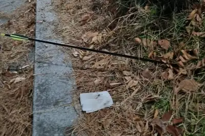 강아지와 산책중인 여성 주변으로 화살 쏜 20대 2명 입건