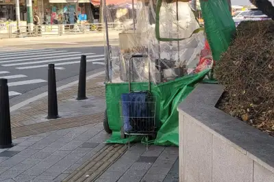 “점자블록 막지 마세요”…서울 강서구, 교통약자 이동권 보호