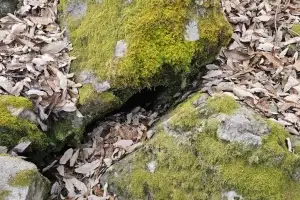 여름엔 냉풍, 겨울엔 온기…경북 의성 빙계계곡 ‘자연의 에어컨’ 확인