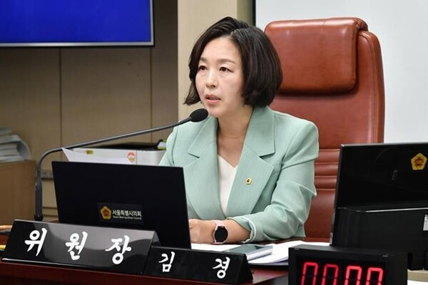 김경 서울시의원. 서울시의회 제공