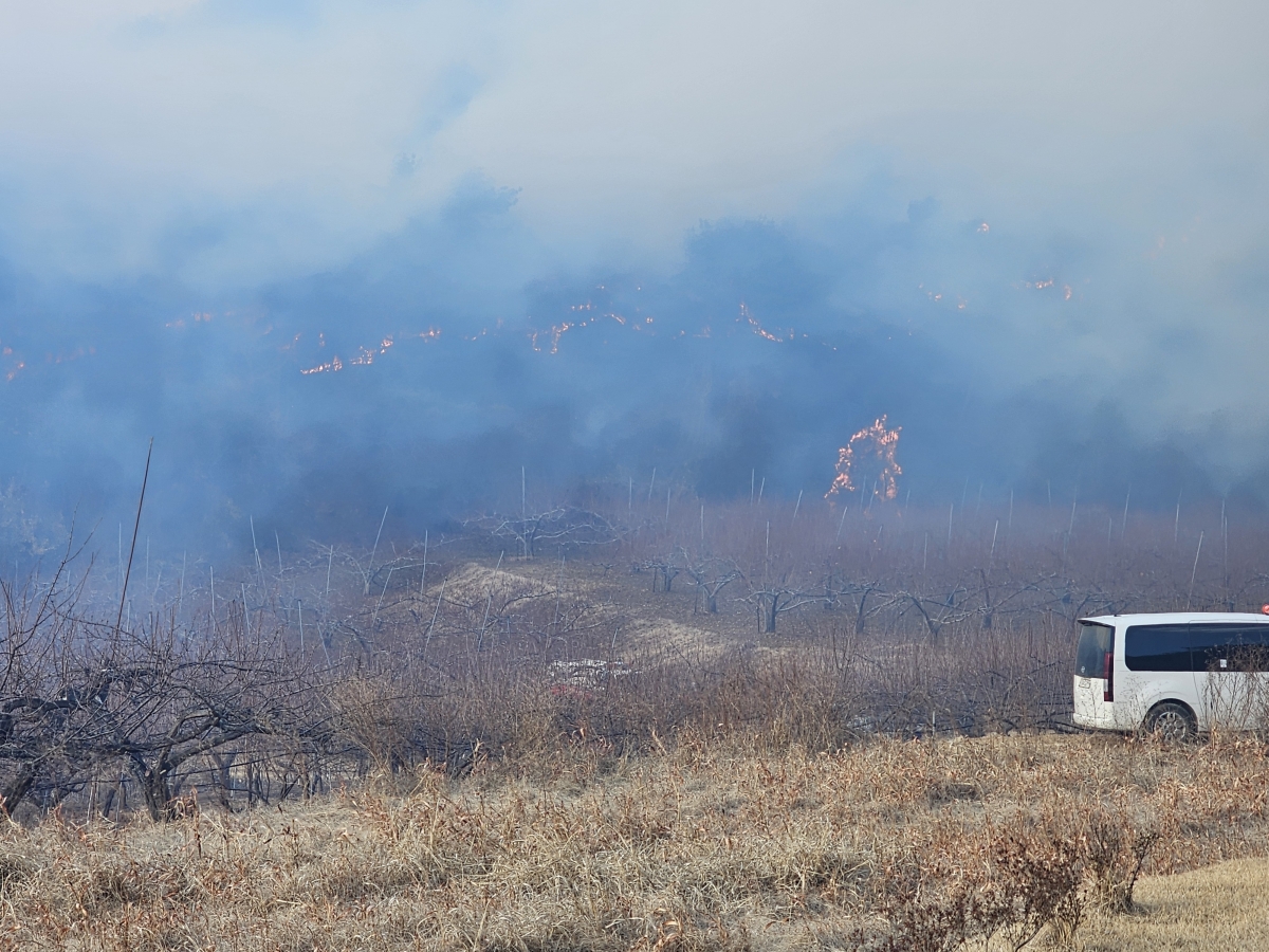 의성군서 산불 발생