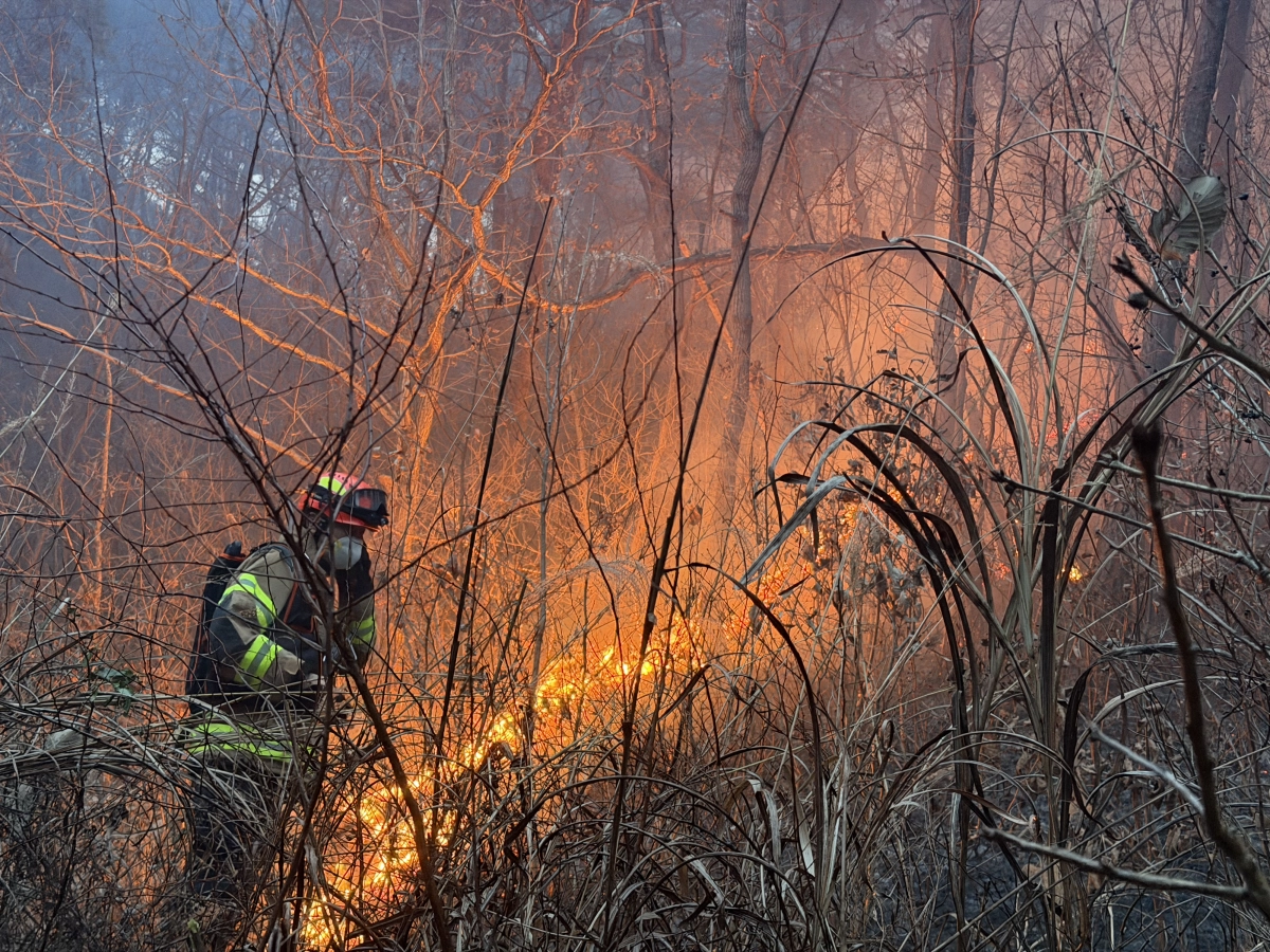 10일 오후 3시 14분쯤 경북 의성군 의성읍 비봉리의 한 야산에서 대형 산불이 발생해 소방 당국이 대응2단계를 발령하고 진화 작업을 벌이고 있다. 경북소방본부 제공