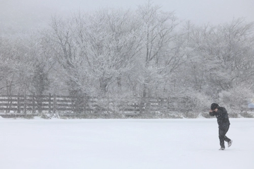광주전남 지역에 11일 오전 7시까지 무안 14.3cm 등 많은 눈이 내렸다. (연합뉴스 제공)