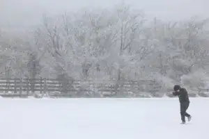광주전남 ‘대설특보’ 속 항공기·여객선 일부 통제