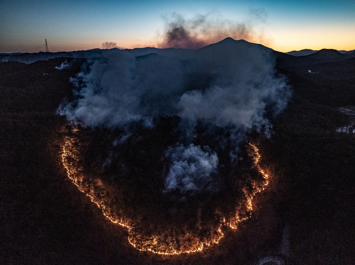 새해 벽두부터 산불
