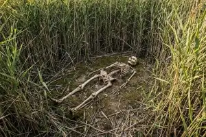 thumbnail - ‘갈대숲 백골’ 맨발로 버려진 그녀…깎인 광대뼈가 그 한을 풀어주다