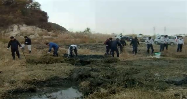백골 변사체가 발견된 화성 우음도 현장에서 경찰들이 주변 수색을 하고 있다.  화성서부경찰서 제공