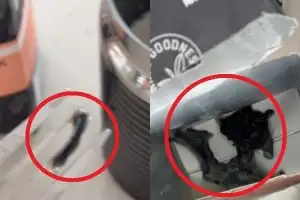 ○○ 안에 죽은 쥐? 발칵…“이제 알고는 못 마셔” 폭로