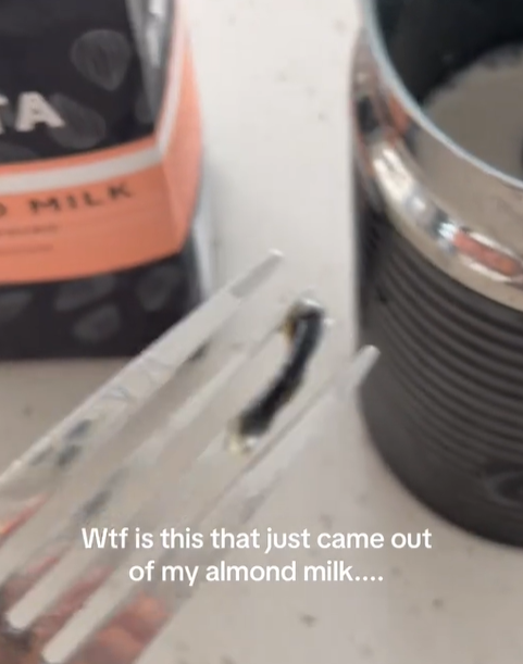 대형 할인점에서 구매한 아몬드 우유 제품에서 정체불명의 검은 물체를 발견했다는 한 호주 여성의 주장이 나와 논란이 일고 있다. 틱톡 캡처