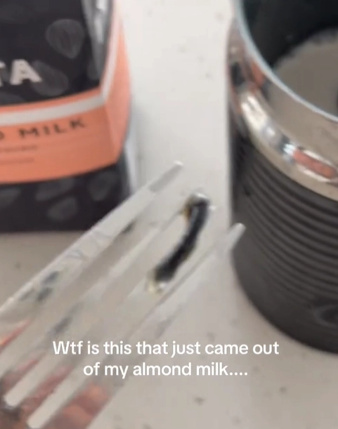 대형 할인점에서 구매한 아몬드 우유 제품에서 정체불명의 검은 물체를 발견했다는 한 호주 여성의 주장이 나와 논란이 일고 있다. 틱톡 캡처
