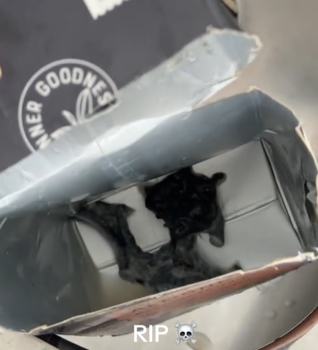 대형 할인점에서 구매한 아몬드 우유 제품에서 정체불명의 검은 물체를 발견했다는 한 호주 여성의 주장이 나와 논란이 일고 있다. 틱톡 캡처