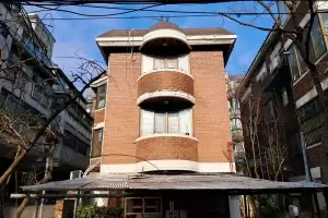 용산구, 생활주변 위험 수목 정비 사업…“구민 안전 강화”