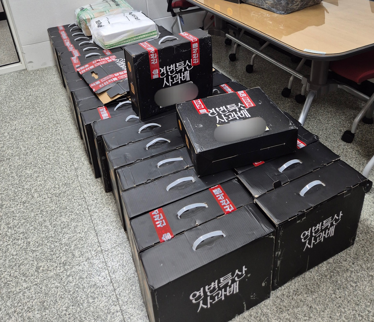 중국산 사과배(수입금지품) 적발 관련 사진. 농림축산식품부 제공