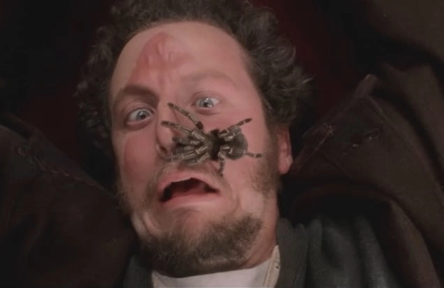 영화 ‘나 홀로 집에’ 속 도둑 마브 머챈츠 역을 연기한 다니엘 스턴. 20세기 폭스