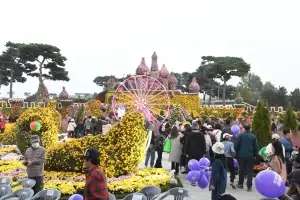 전남도, 10대 대표 축제 선정 경쟁력 강화 나서
