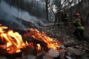 건조한 날씨 속 산불재난 국가 위기 경보 ‘주의’로 상향