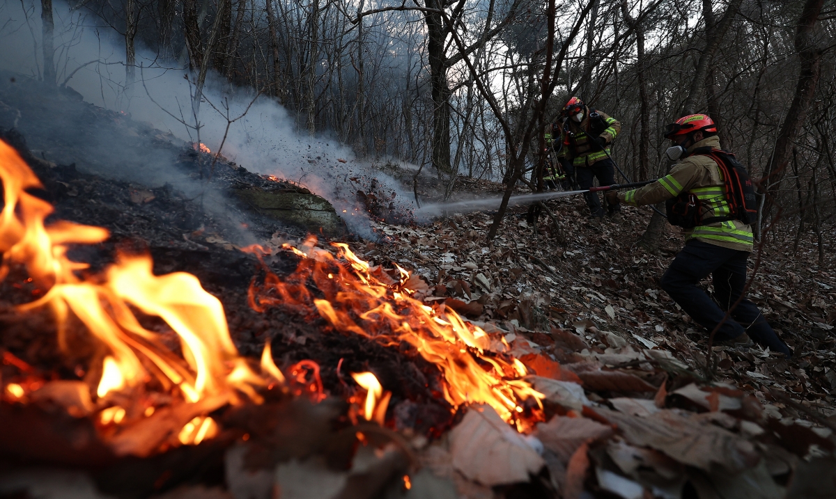 지난 11일 경북 의성군 한 야산에서 발생한 산불 현장에서 진화대원이 불을 끄고 있다. 의성 연합뉴스