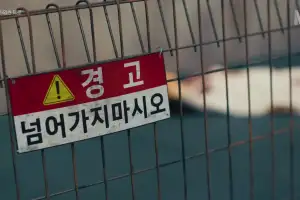 무려 6번째 시즌으로 돌아온다…넷플릭스에서 ‘새 시즌’ 공개 확정한 ‘국내 추리 예능’