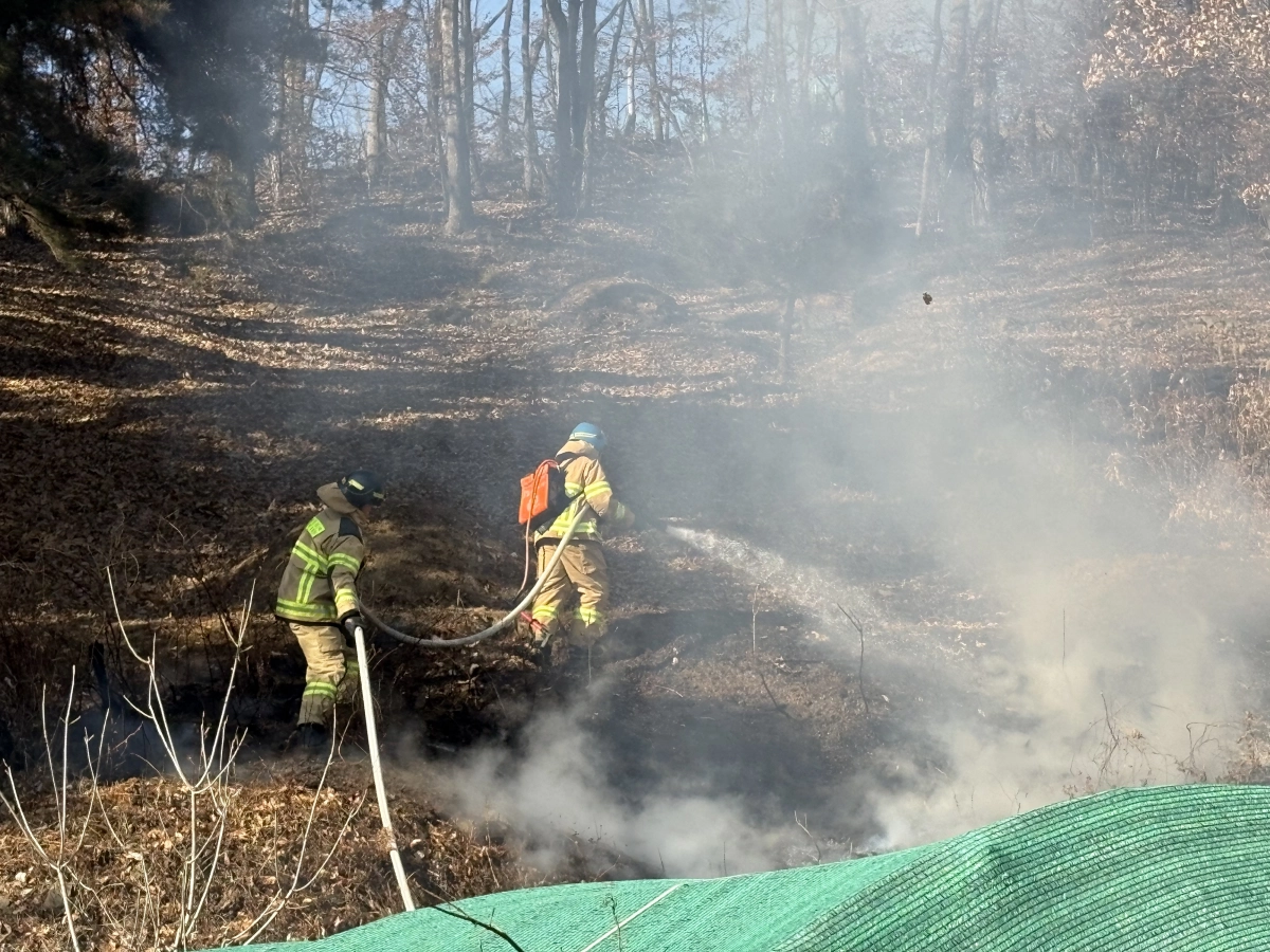 13일 오후 2시 30분쯤 대구 군위군 효령면 한 주택 뒤편에서 불이 나 소방관들이 인근 야산으로의 확산을 막고 있다. 대구소방안전본부 제공