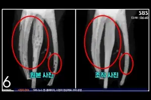 말끔 치료? 연대 치대생들 ‘조작’ 들통 “호들갑 떤다” 푸념…예비의사 윤리의식 어디에