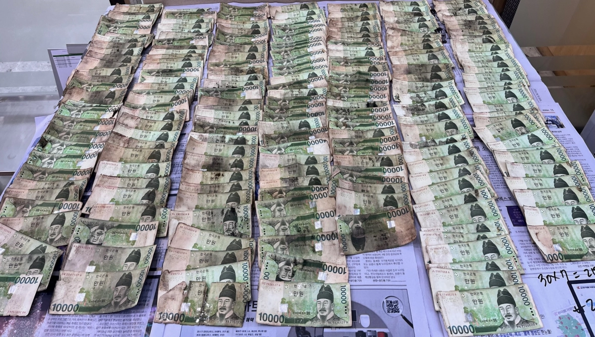 장판에 눌려 손상된 만원권의 모습. 곳곳이 찢어져 있고 색이 바랬다. 한국은행 제공