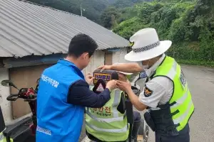 전남 고령자, 신호등 없는 횡단보도 ‘가장 큰 위험’