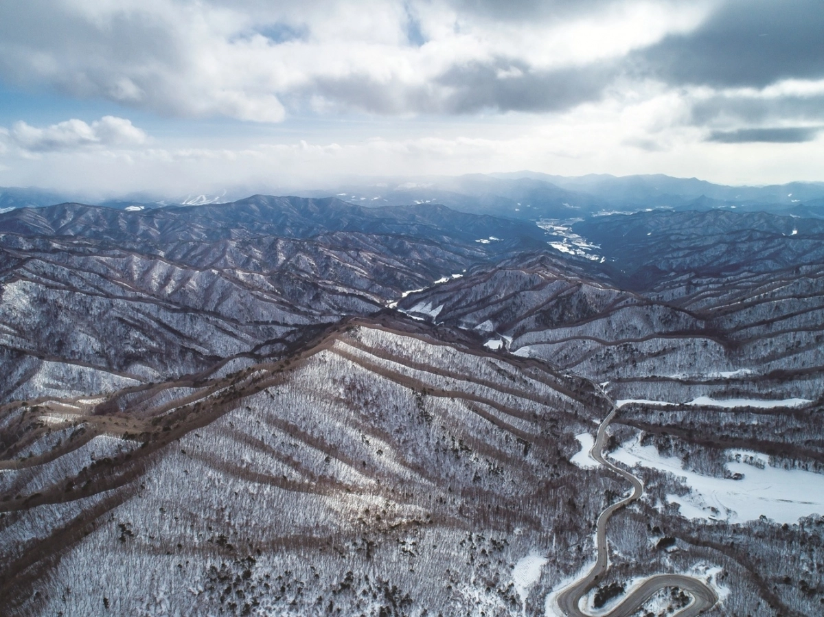 백두대간 20대 명소 중 하나인 강원 평창군 진고개. 산림청 제공