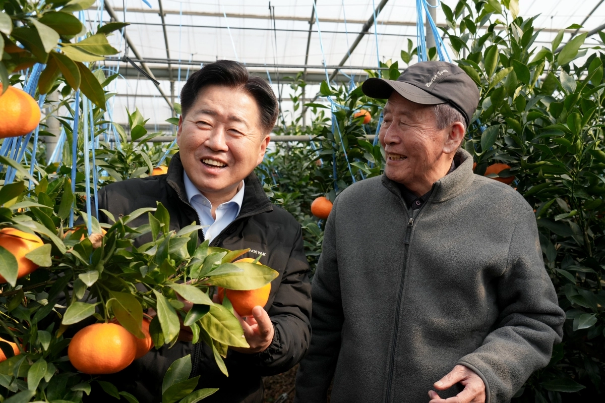 오영훈 지사는 14일 오후 제주시 도련이동 만감류(레드향) 재배 농가를 방문해 농민과 얘기하다 활짝 웃고 있다. 제주도 제공