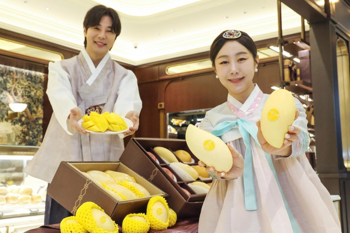 태국 망고 선물세트 어때요