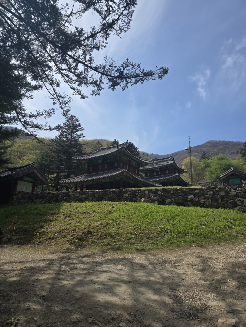 강원 평창군 진부면에 있는 오대산 사고의 모습. 6·25 전쟁 당시 우리 군에 의해 불에 타 소실됐으며 원래 터에 새로 복원해둔 상태다. 윤수경 기자