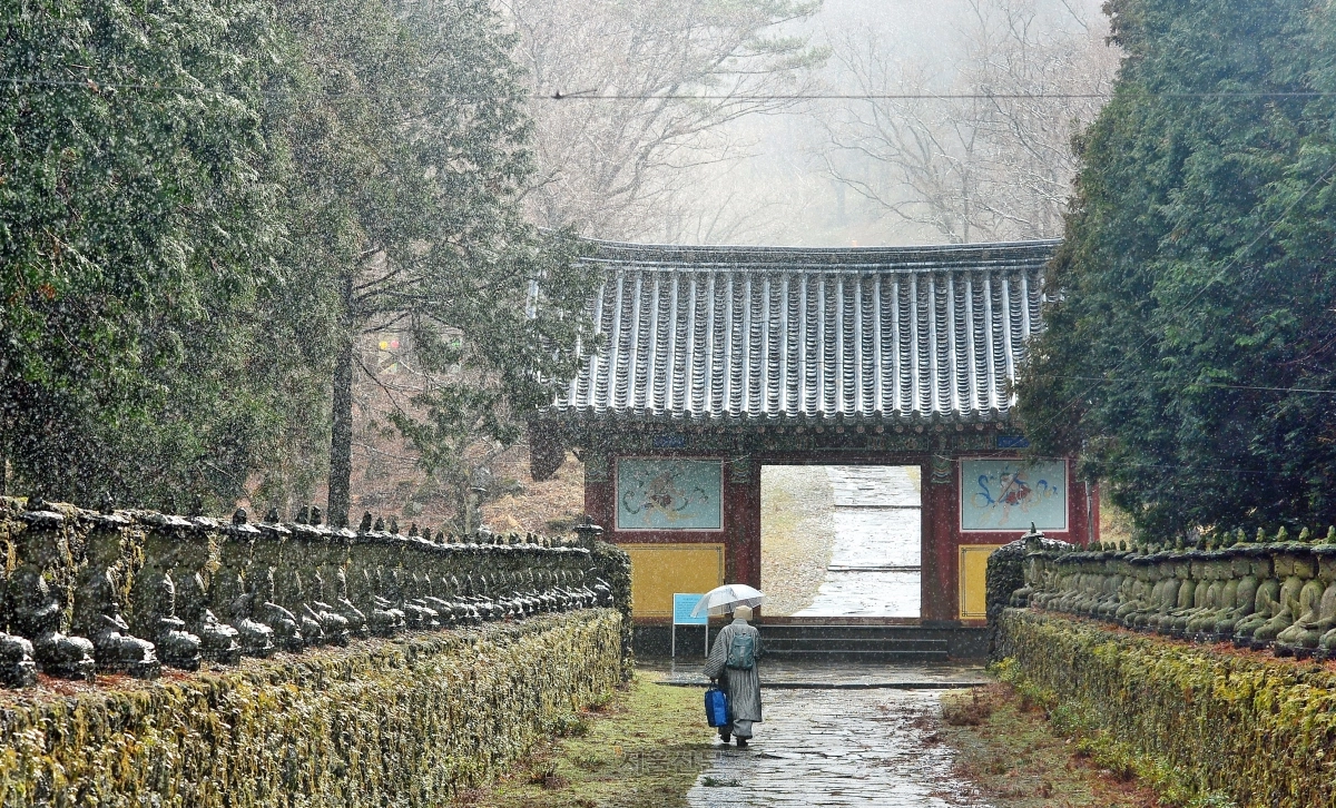 한라산 관음사는 제주 근대 불교의 성지로 꼽힌다.