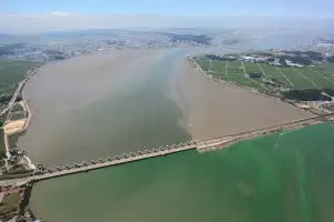 “금강하굿둑 열어야”… 35년 물길 막혀 토사·녹조·악취 피해