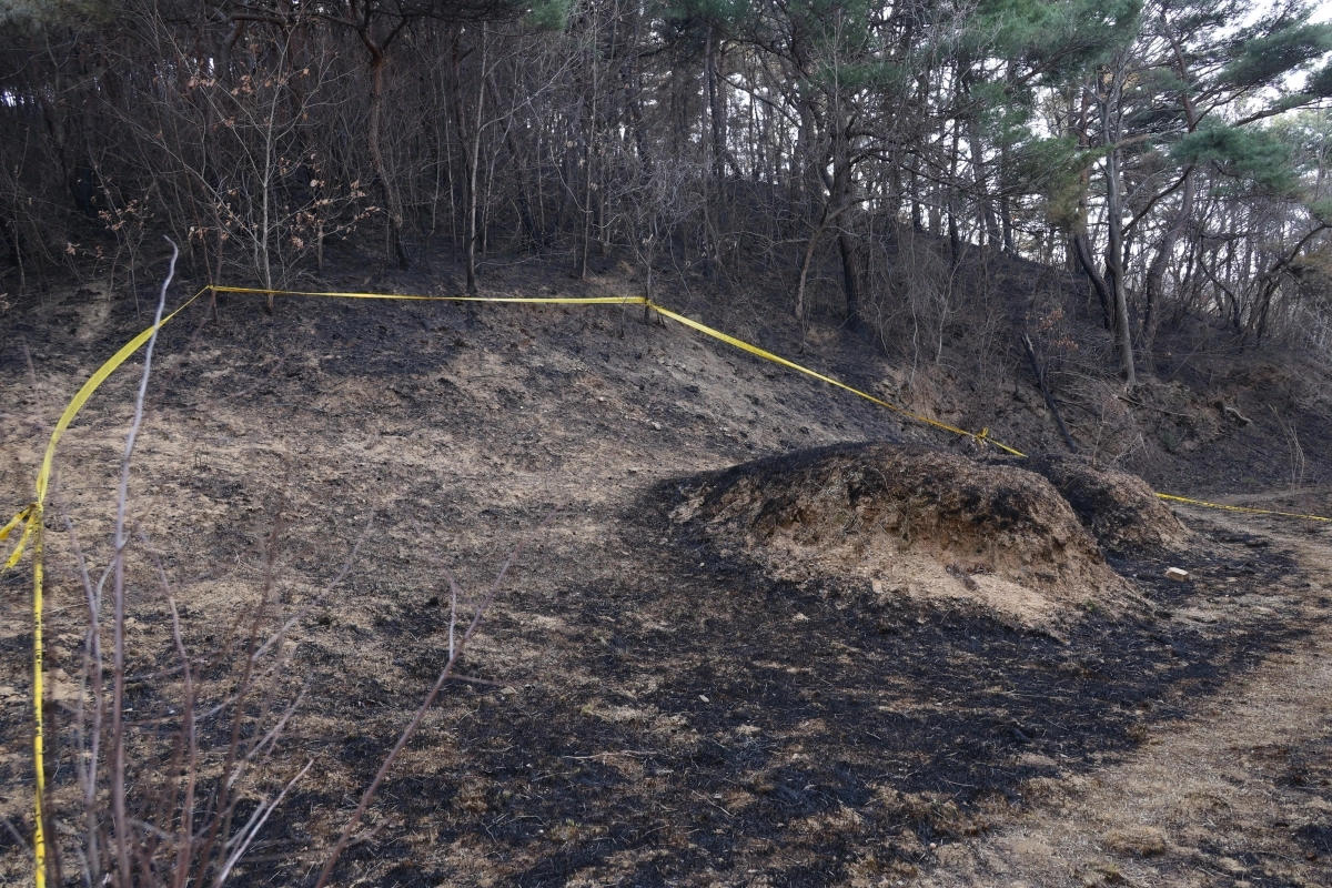 경북 산불 최초 발화 추정 지점인 의성군 괴산리 야산 묘지가 불에 타면서 검게 변해 있다. 2025.3.29. 연합뉴스