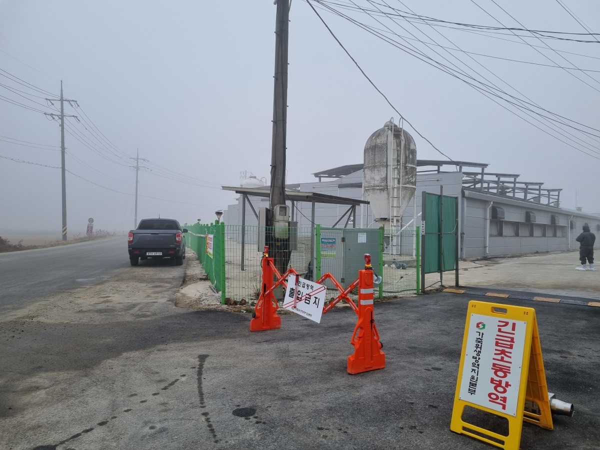 충남 당진시 고대면 한 산란계 농장에서 고병원성 조류인플루엔자 감염이 확진돼 방역 당국이 긴급 방역조치 중이다. 시 제공