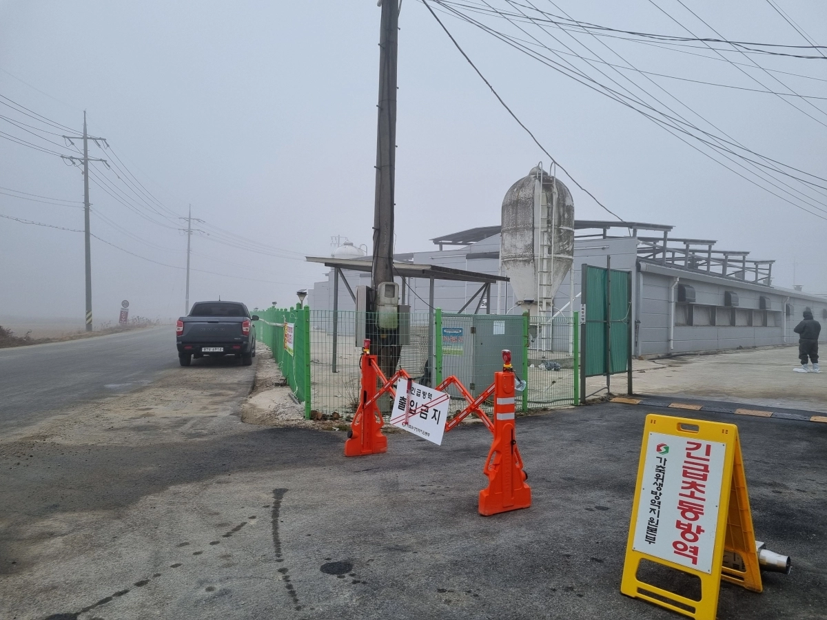 충남 당진시 고대면 한 산란계 농장에서 고병원성 조류인플루엔자 감염이 확진돼 방역 당국이 긴급 방역조치 중이다. 시 제공