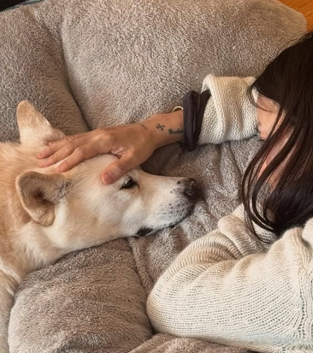 가수 이상순 인스타그램 캡처