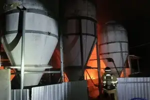 의성 돈사에서 불…돼지 340마리 폐사